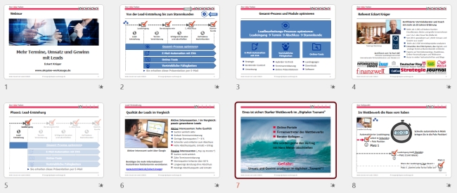 Webinar-Unterlagen (61 Seitn PDF)